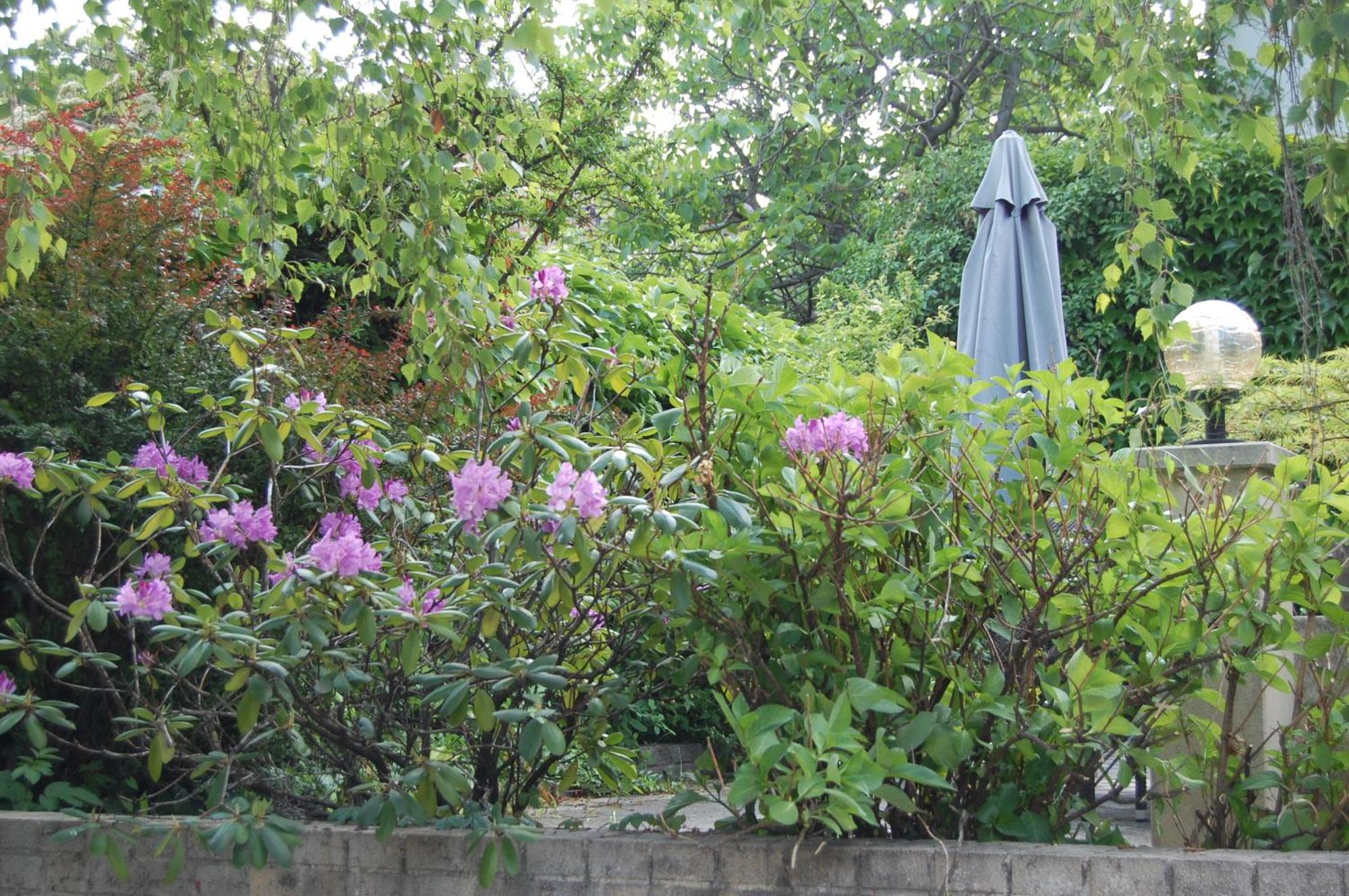 Hofgassl Zentgraf Bed and Breakfast Mörbisch am See Εξωτερικό φωτογραφία