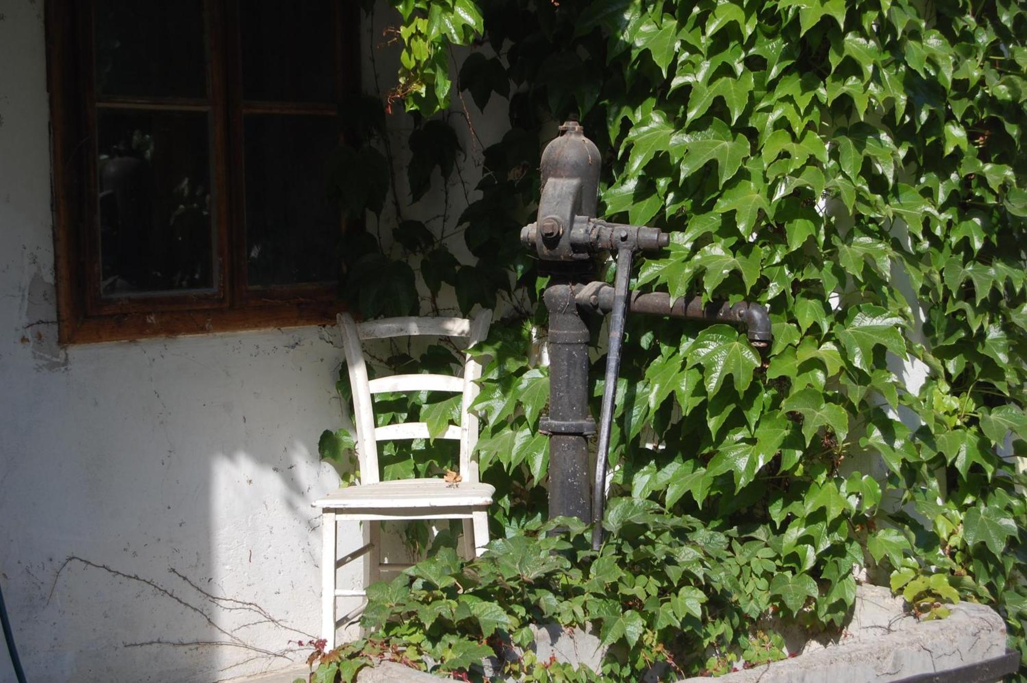 Hofgassl Zentgraf Bed and Breakfast Mörbisch am See Εξωτερικό φωτογραφία