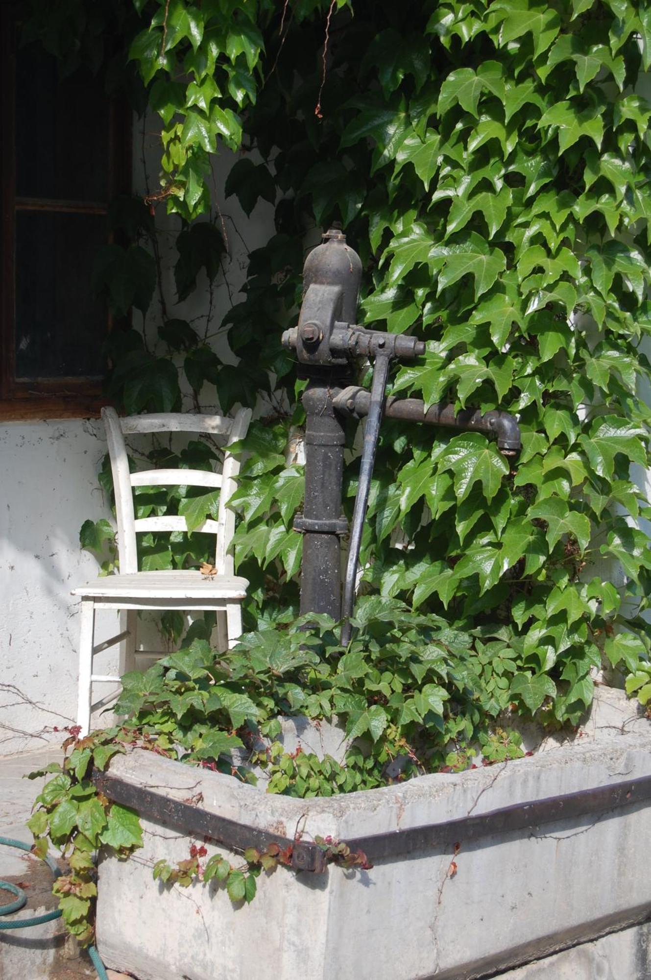 Hofgassl Zentgraf Bed and Breakfast Mörbisch am See Εξωτερικό φωτογραφία