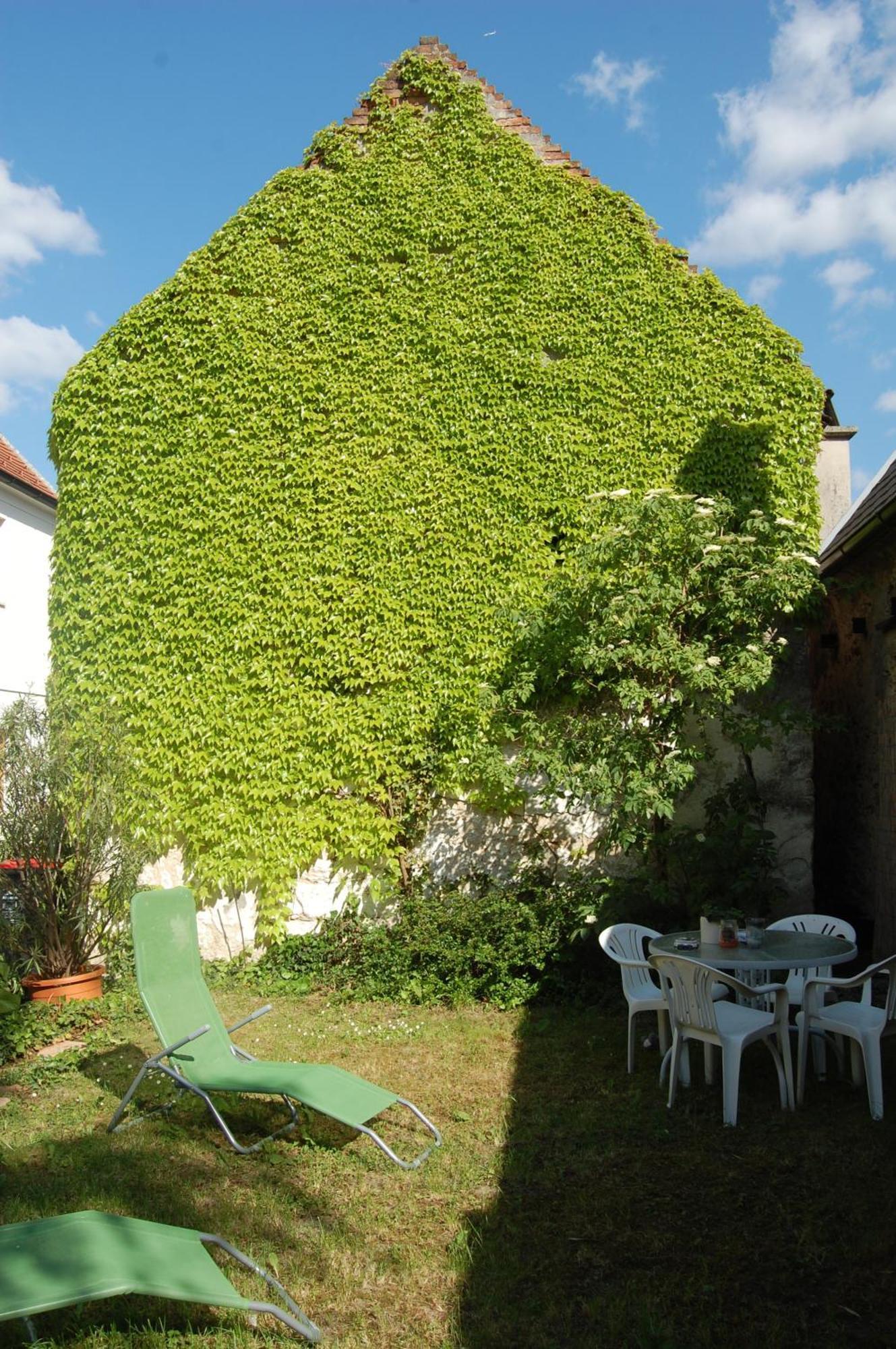 Hofgassl Zentgraf Bed and Breakfast Mörbisch am See Εξωτερικό φωτογραφία